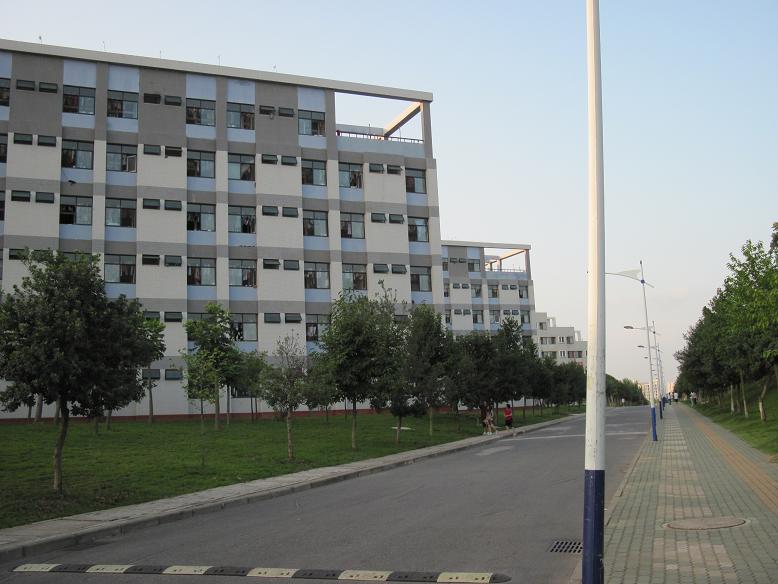 114.JPG