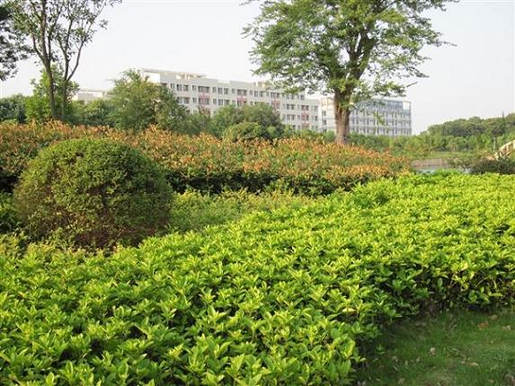 109.jpg
