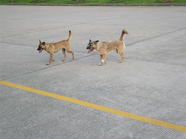 121.jpg