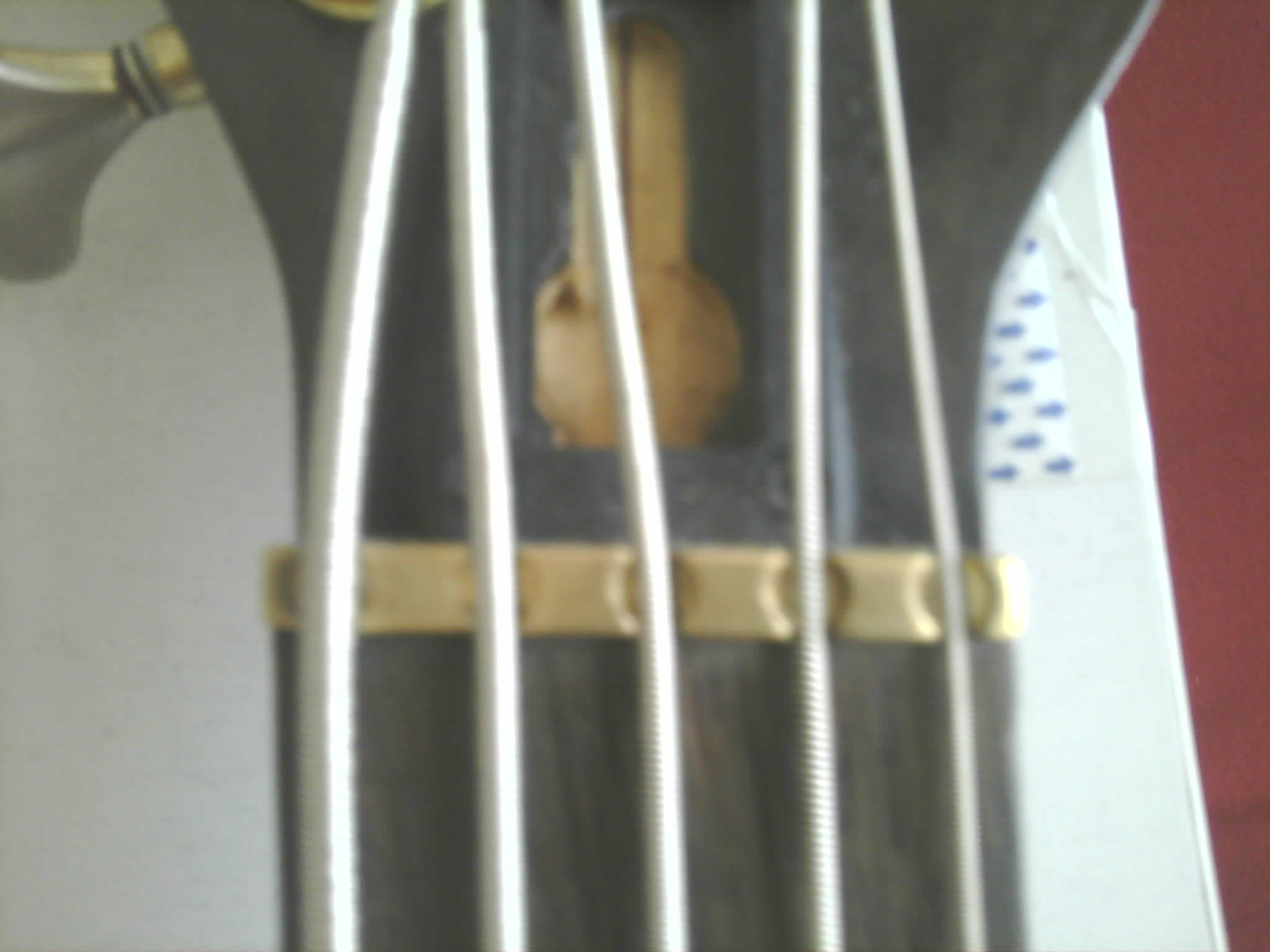 Img0016.jpg