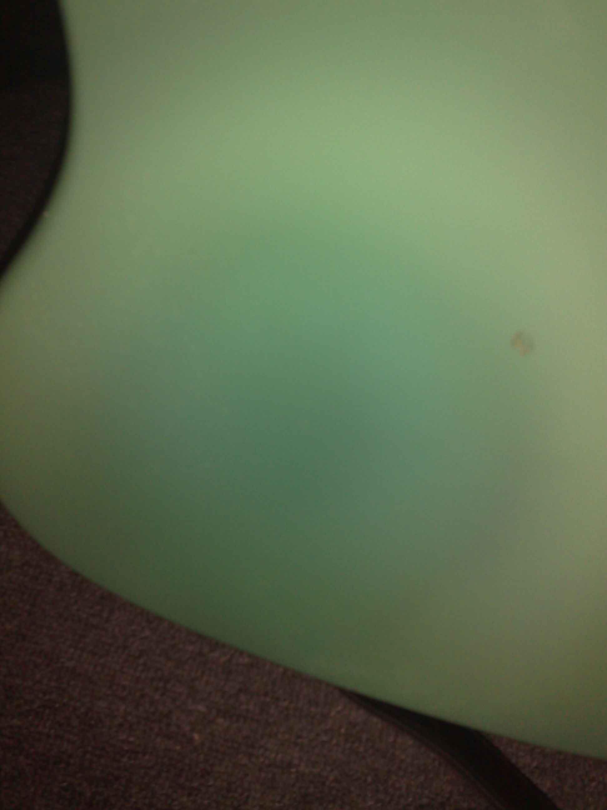 20090726081.jpg