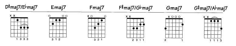 d7-02.jpg