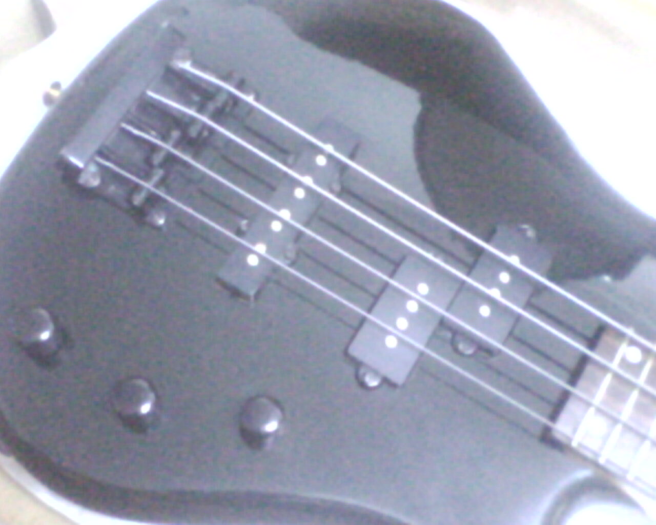 IMG0458A.jpg