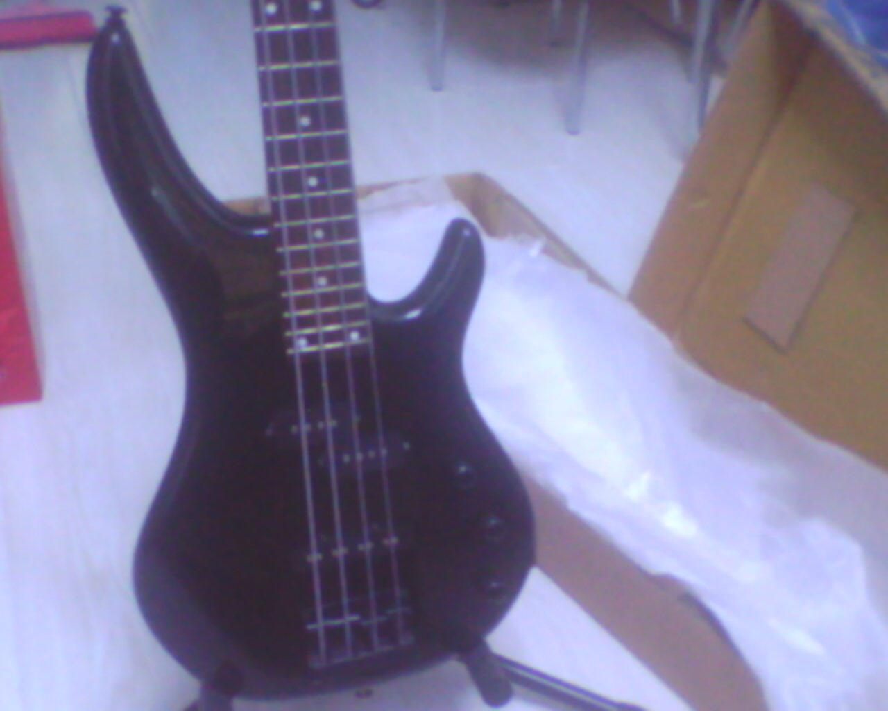 IMG0461A.jpg
