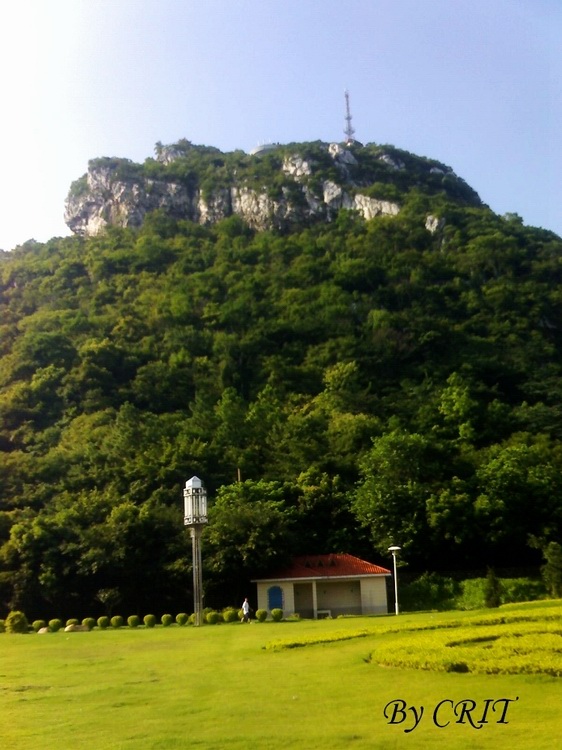 21-06-08_1657.jpg