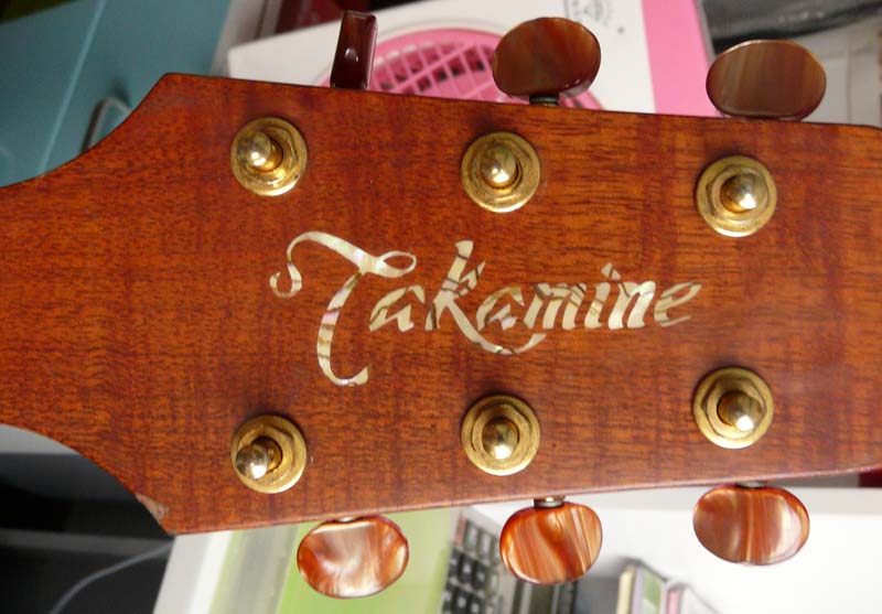takamine1.jpg