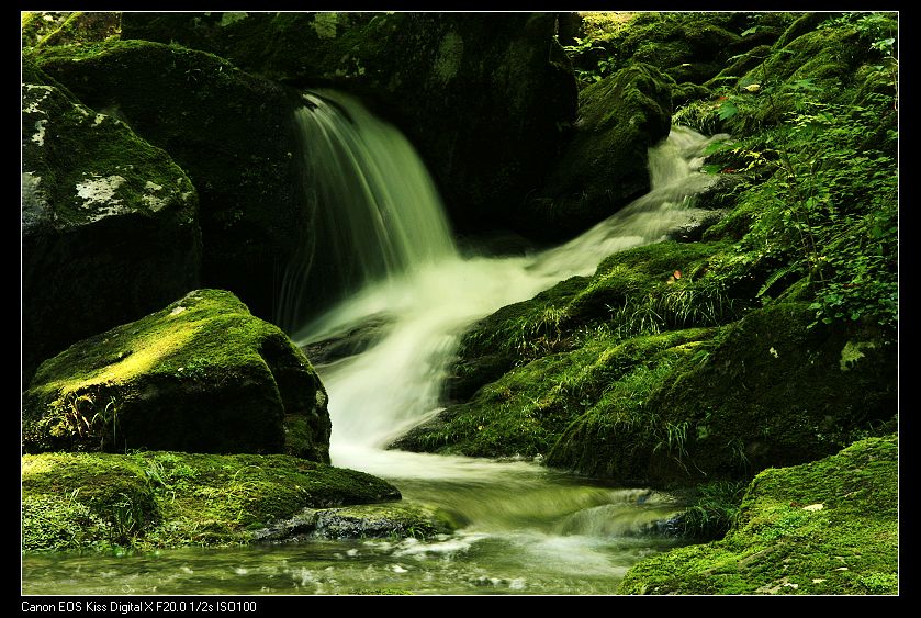_MG_6647.jpg