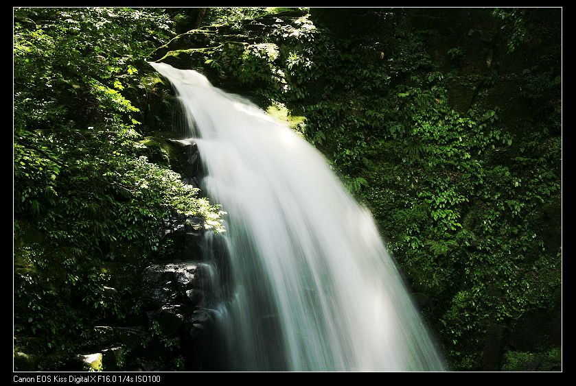 _MG_6547.jpg