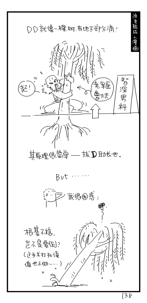 38.jpg