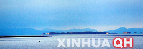 xin_20208062414108752534450.jpg
