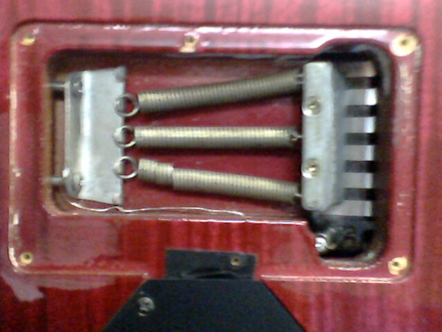 IMG0480A.jpg