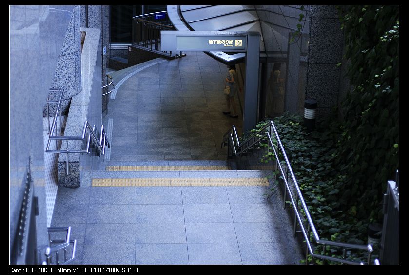 _MG_8348.jpg