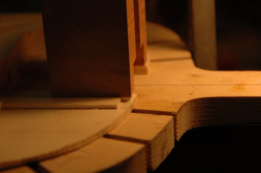 DSC_5016.JPG