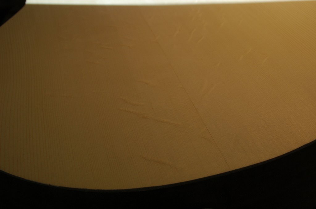 DSC_5101.JPG