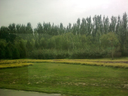20090923525.jpg