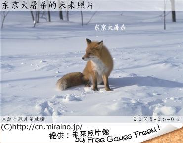 无标题.JPG