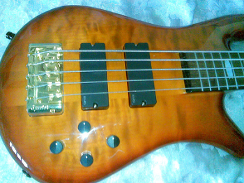 bass213.jpg