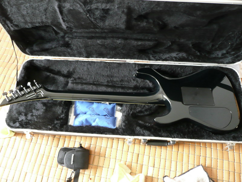 P1040019_缩小大小.JPG