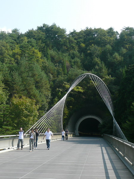 P1030428_缩小大小.JPG