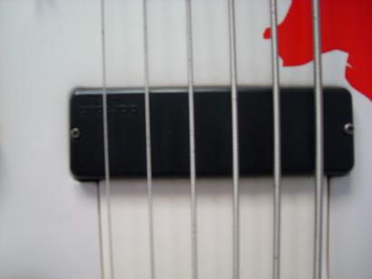 SL702534.JPG
