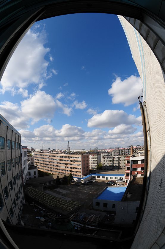 DSC_2326.jpg