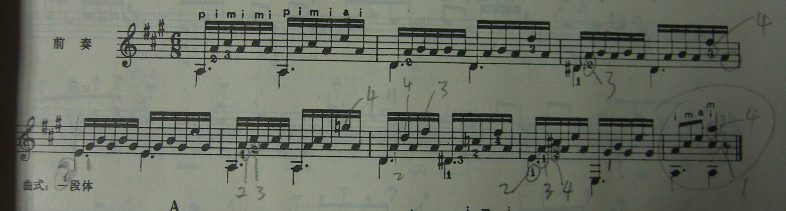 CIMG2675 a.jpg