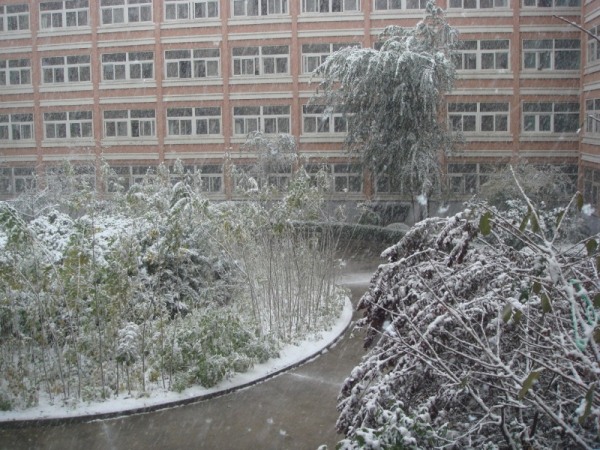 DSC08021.JPG