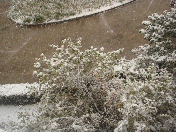 DSC08025.JPG
