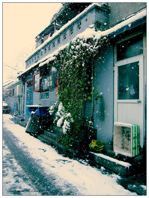 后海雪景9.JPG
