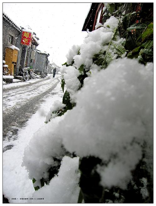 后海雪景10.JPG
