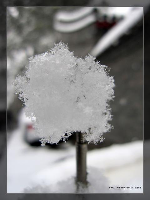 后海雪景12.JPG