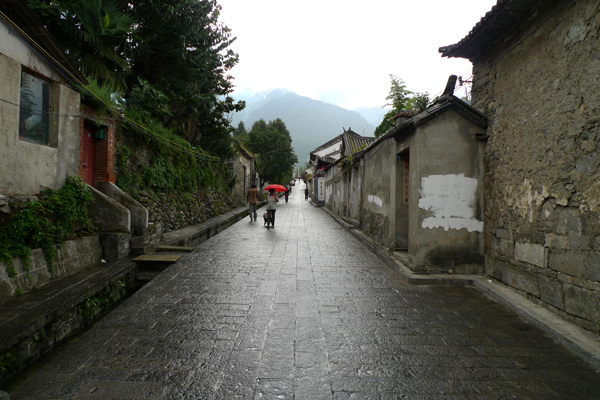 P1020219.jpg