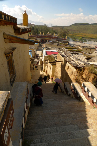 P1030088.jpg