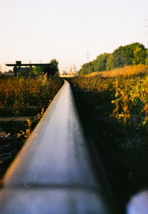 4316136.jpg