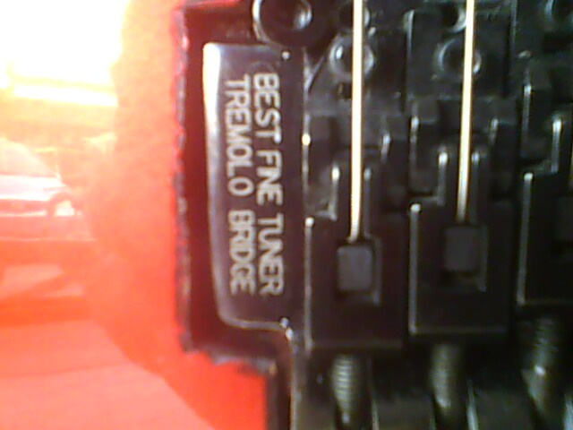 IMG0572A.jpg