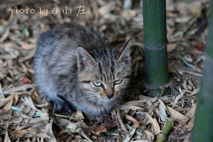 5J2T0311副本.jpg