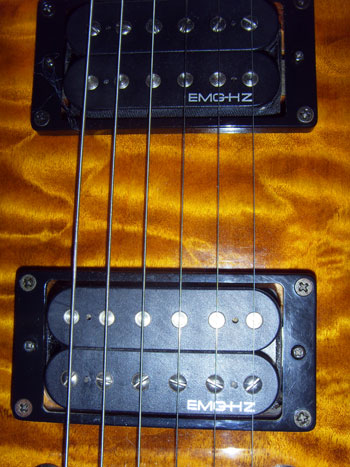 cort (5).jpg