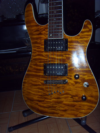 cort (3).jpg