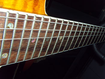cort (8).jpg