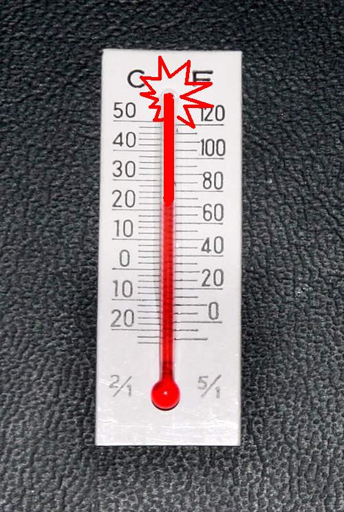 LZ的寂寞指数。。。