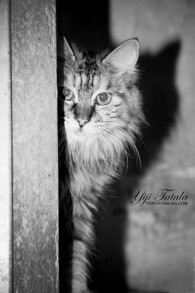 nEO_IMG_IMG_2628.jpg