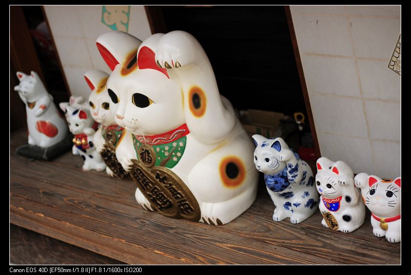 _MG_8095.jpg