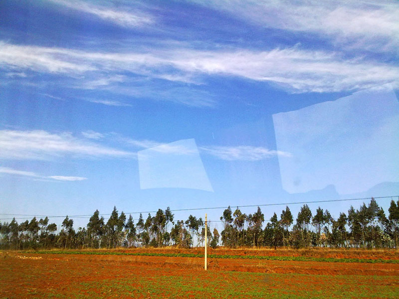 20091213108.jpg
