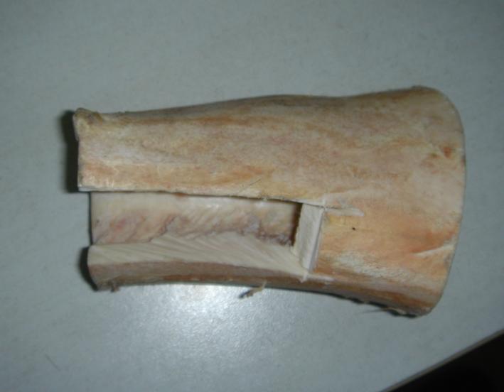 剩下的牛骨 还可以做好几个琴枕.jpg