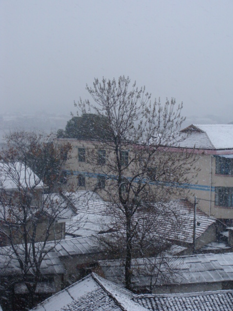 DSC02180.JPG