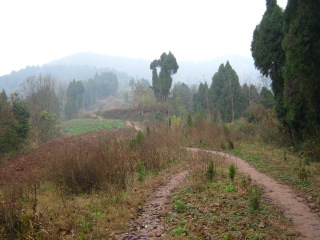 崎岖的山路~