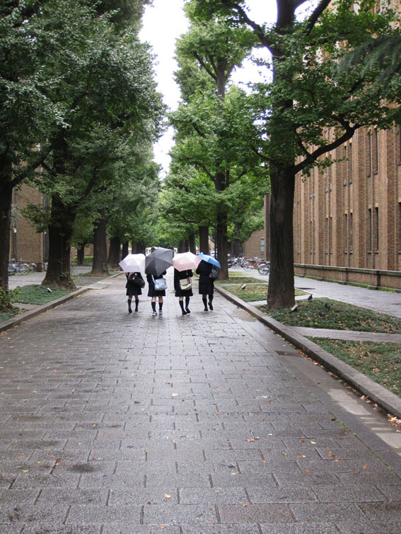 走向大学里的学生