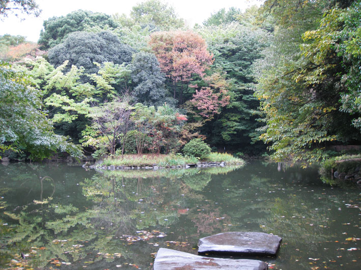 照片 369.jpg