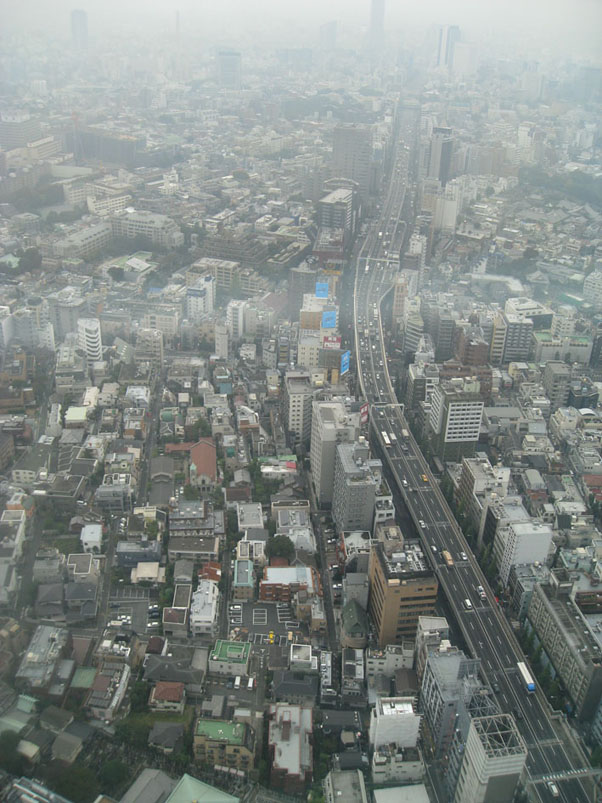照片 015.jpg