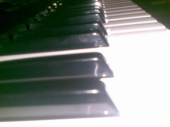 05.jpg